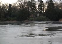 Bild zu Friedhof Riensberg