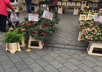 Bild zu Wochenmarkt am Sedanplatz in Vegesack