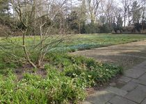 Bild zu Friedhof Osterholz