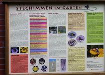 Bild zu Botanischer Garten der Carl von Ossietzky Universität Oldenburg