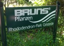 Bild zu Bruns-Pflanzen-Export GmbH & Co. KG