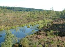 Bild zu Naturpark Solling-Vogler