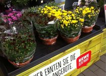 Bild zu REWE Supermarkt