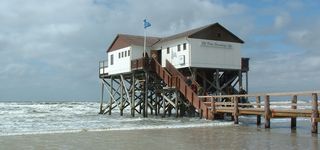 Bild zu Strandcafe Silbermöwe