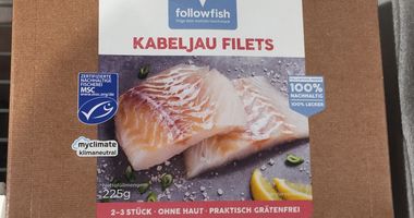 followfood GmbH in Friedrichshafen