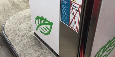 star Tankstelle in Dörpen