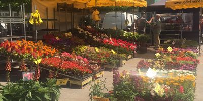 Wochenmarkt Eberswalde auf dem Marktplatz in Eberswalde