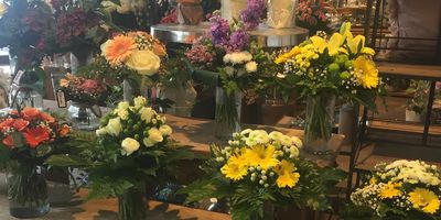 Blumen Interfleur Floristik & Wohnaccessoires in Garrel