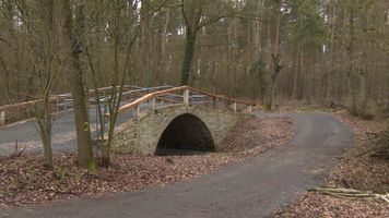 Bild zu Napoleonbrücke