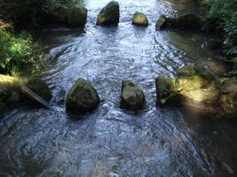 Bild zu Fischtreppe der Varreler Bäke am Gut Varrel