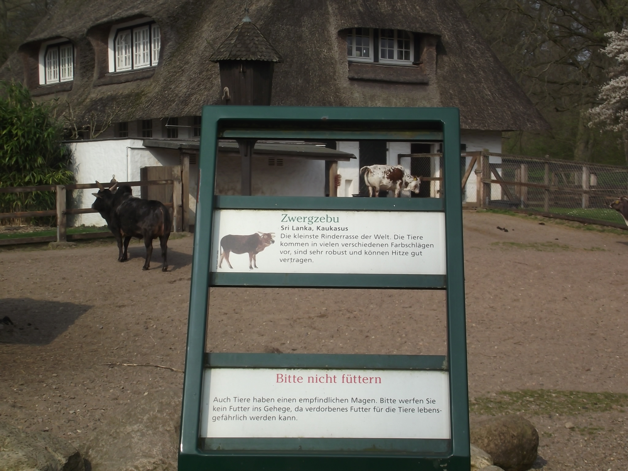 Tiergehege im Bremer Bürgerpark