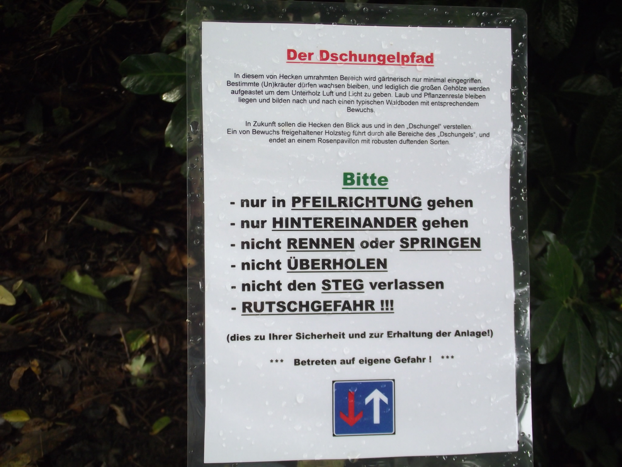 Location Nr 9 Das &quot;ARBORETUM in Neuenkoop/Berne&quot; - Info zum Dschungel-Pfad