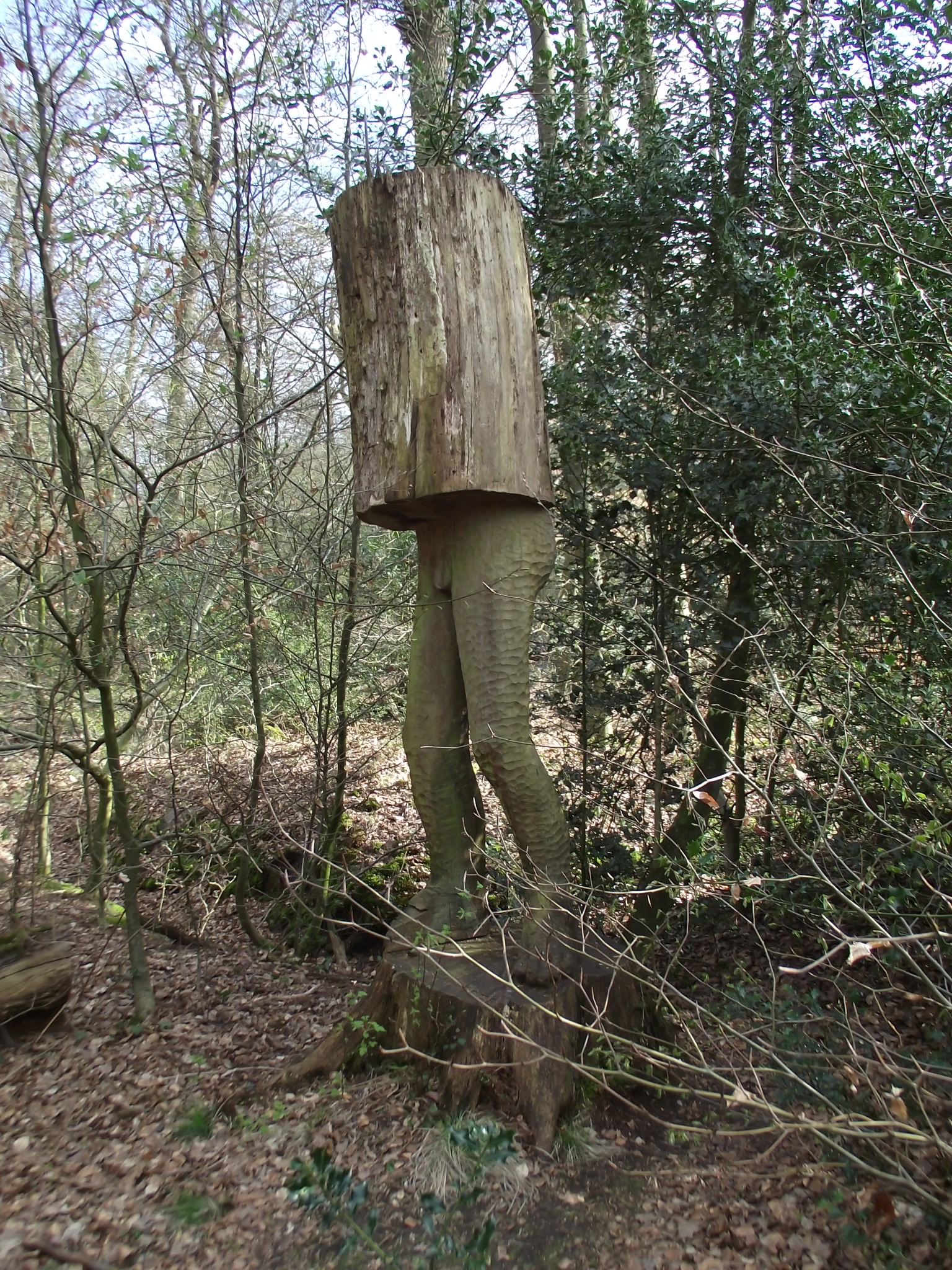 Holzkunst im Naturwald Hasbruch