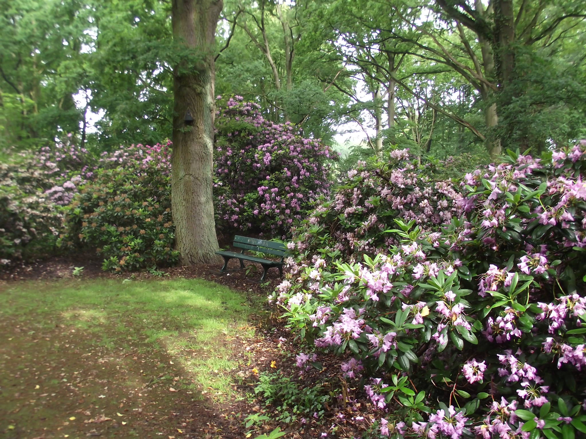 Bild 8 Bloom Café und Restaurant im Rhododendronpark in Bremen
