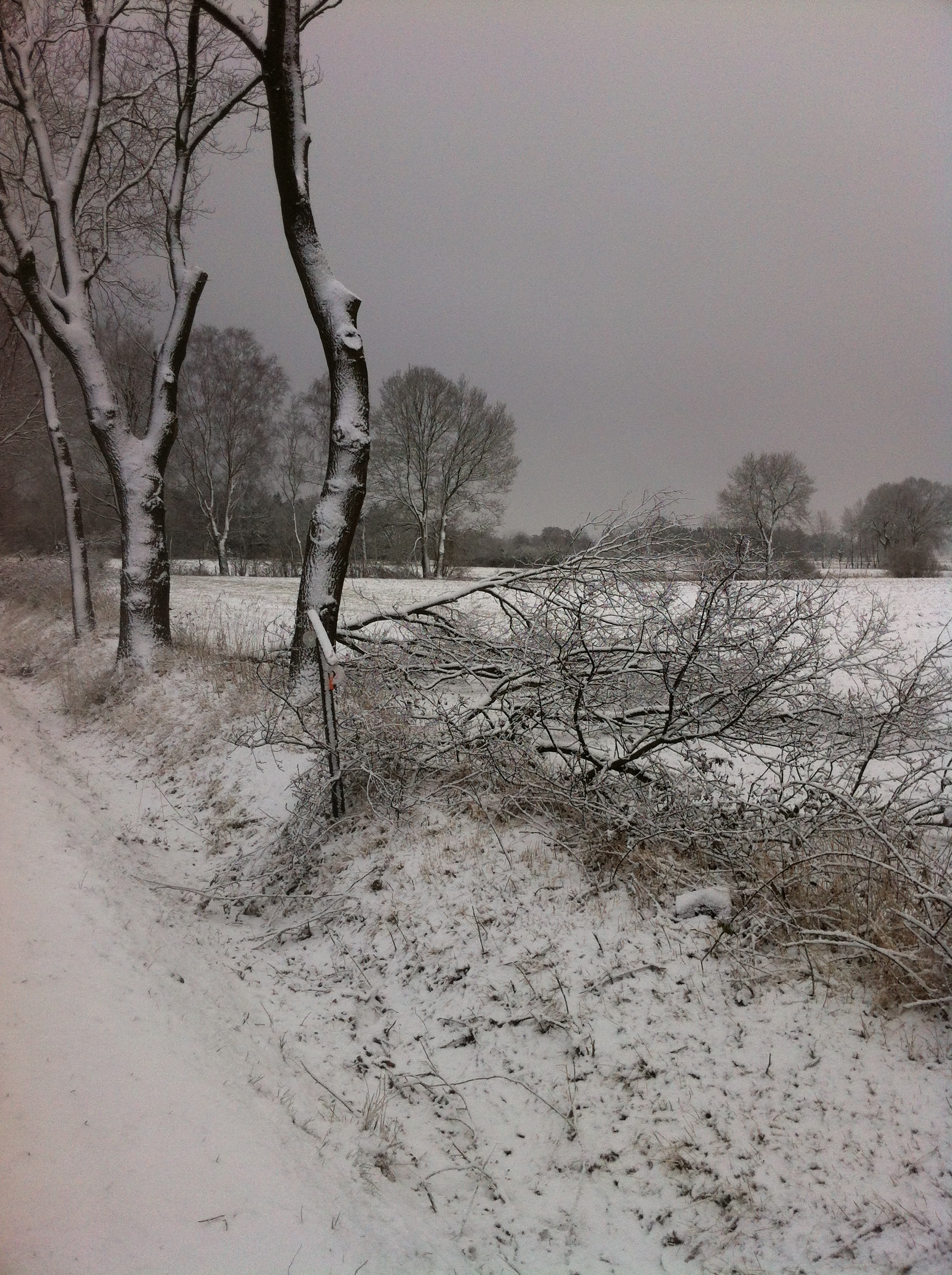 Eben noch Sonne bei der Ems, 40 km weiter östlich bei Ofen, Schnee und Unfälle auf der A 28.