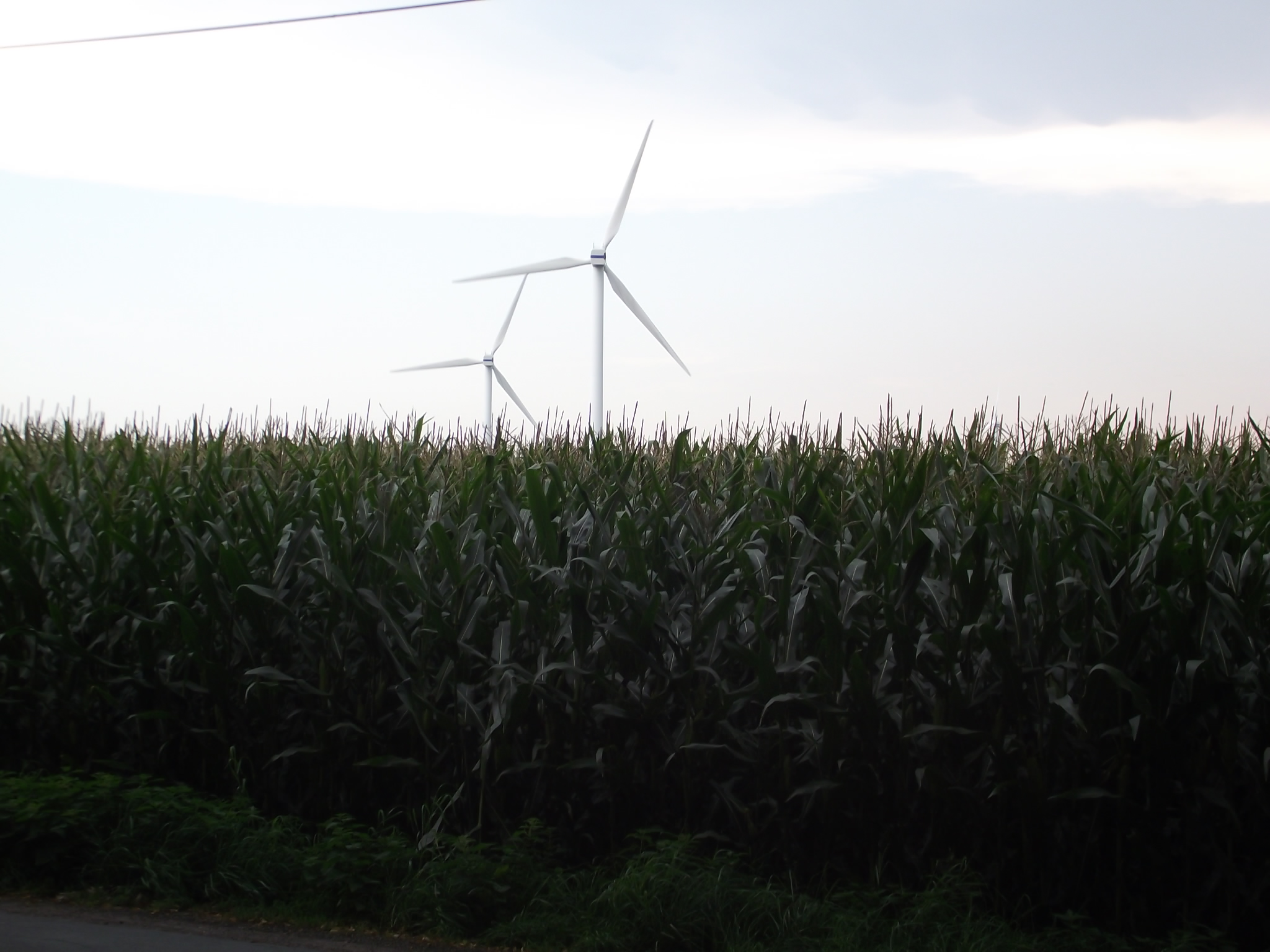 Windräder und Maisfelder vor dem Umweltzentrum Hollen