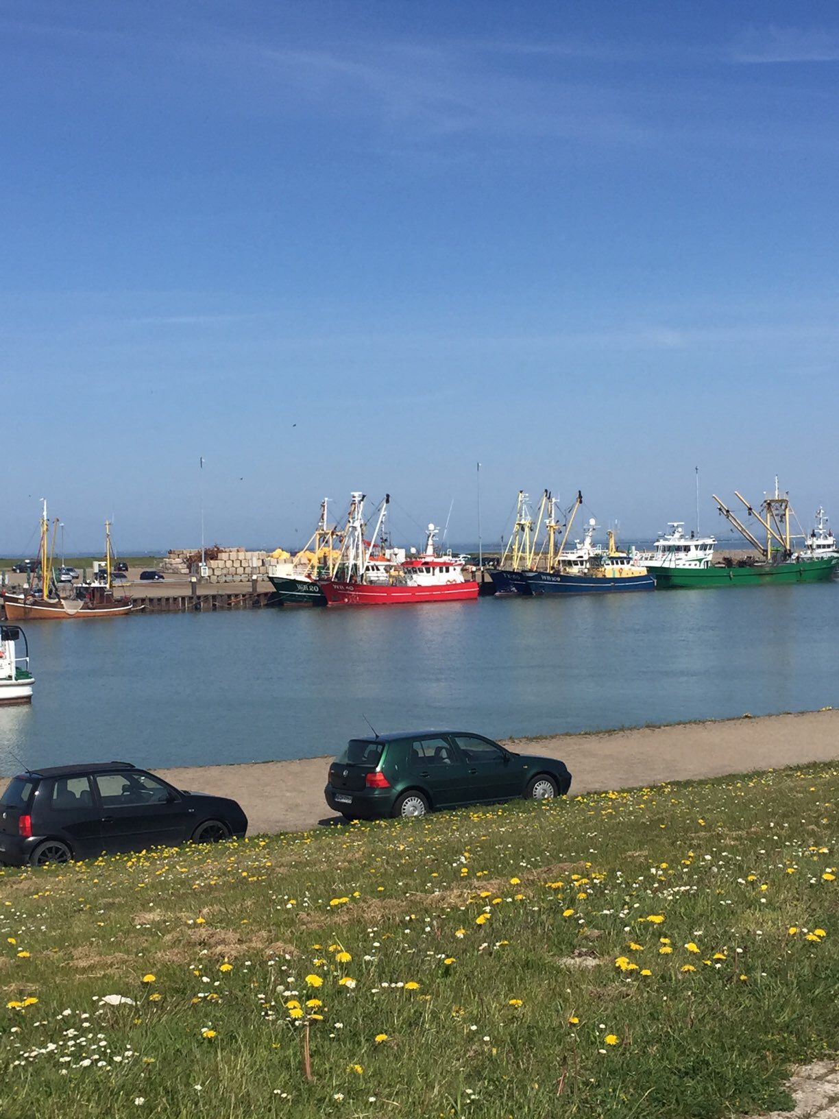 Bild 7 Brücke in Wangerland