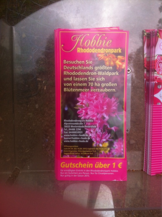 Bild 5 Rhododendron Waldpark in Linswege