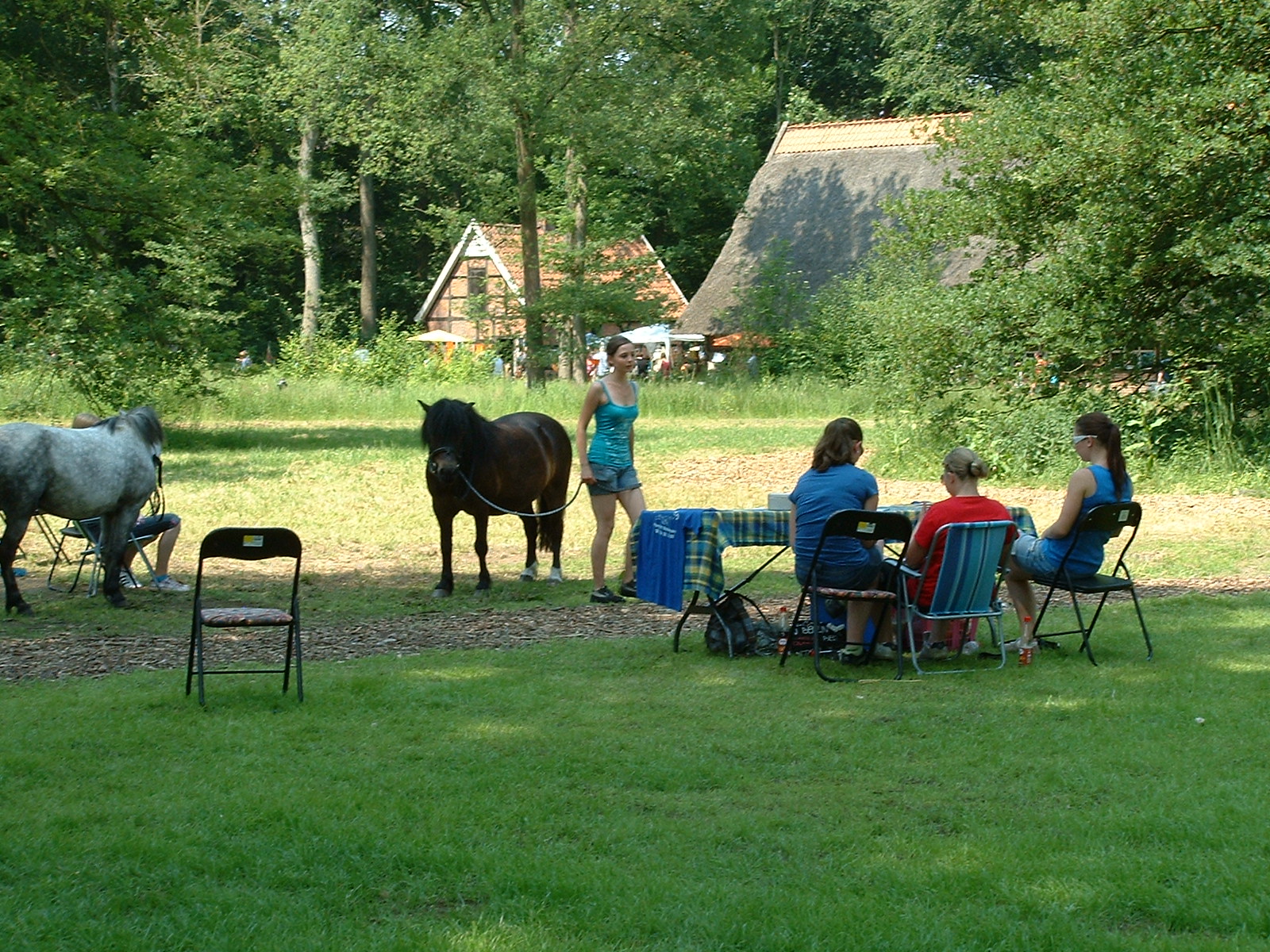 Museumsdorf Cloppenburg - Gartenpartie 5.6.2011 Ponyreiten