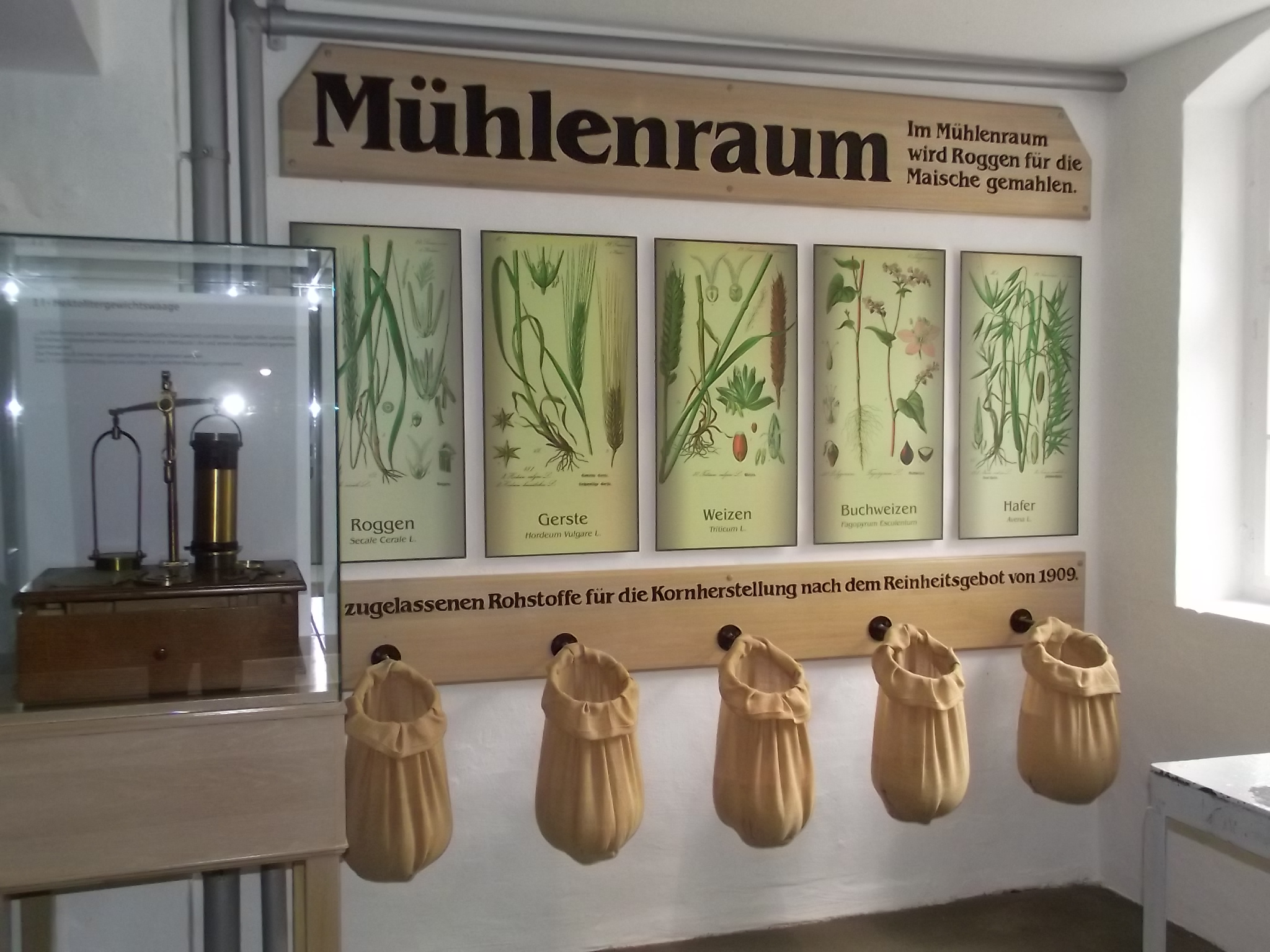 Echter Nordhäuser Traditionsbrennerei in Nordhausen - Mühlenraum mit den verschieden Getreidesorten zum anfassen! Roggen Gerste, Weizen, Buchweizen und Hafer sind seit 1909 zugelassen.