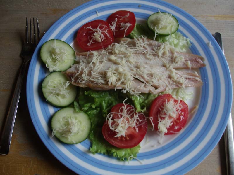 Forelle auf Salat, mit Tomaten und Gurke und den grob geraspelten Kren aus Baiersdorf.