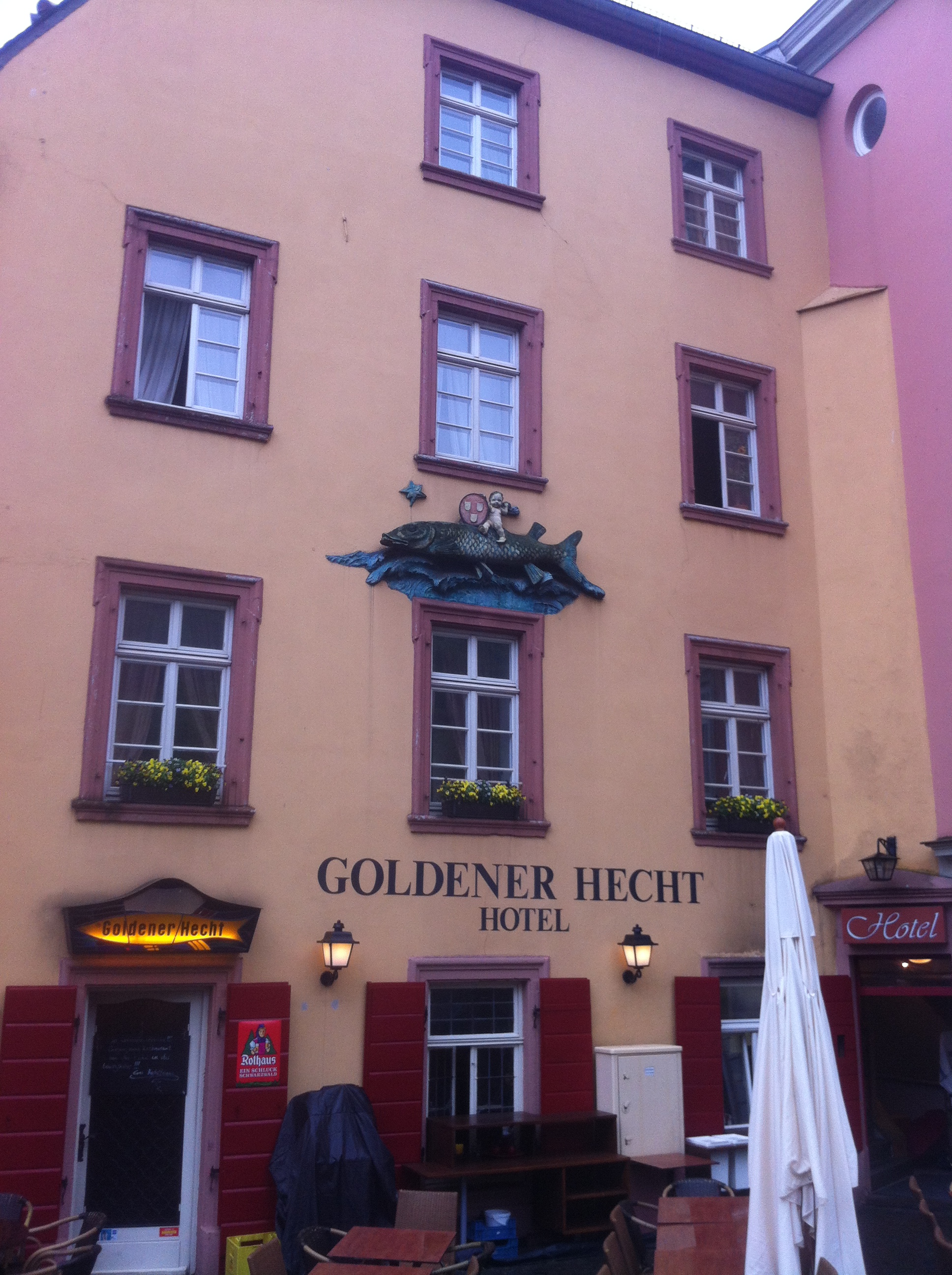 Bild 3 Goldener Hecht in Heidelberg