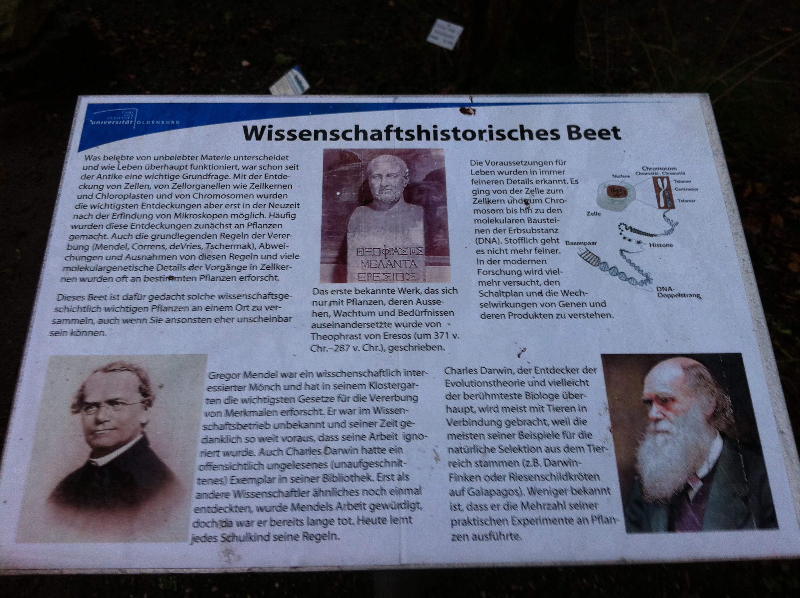 Tolle Infotafeln im Botanischen Garten