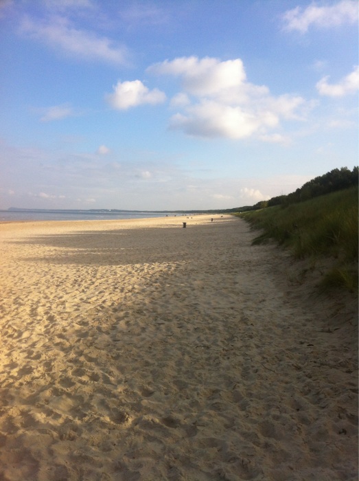 Bild 11 Naturpark Insel Usedom in Usedom