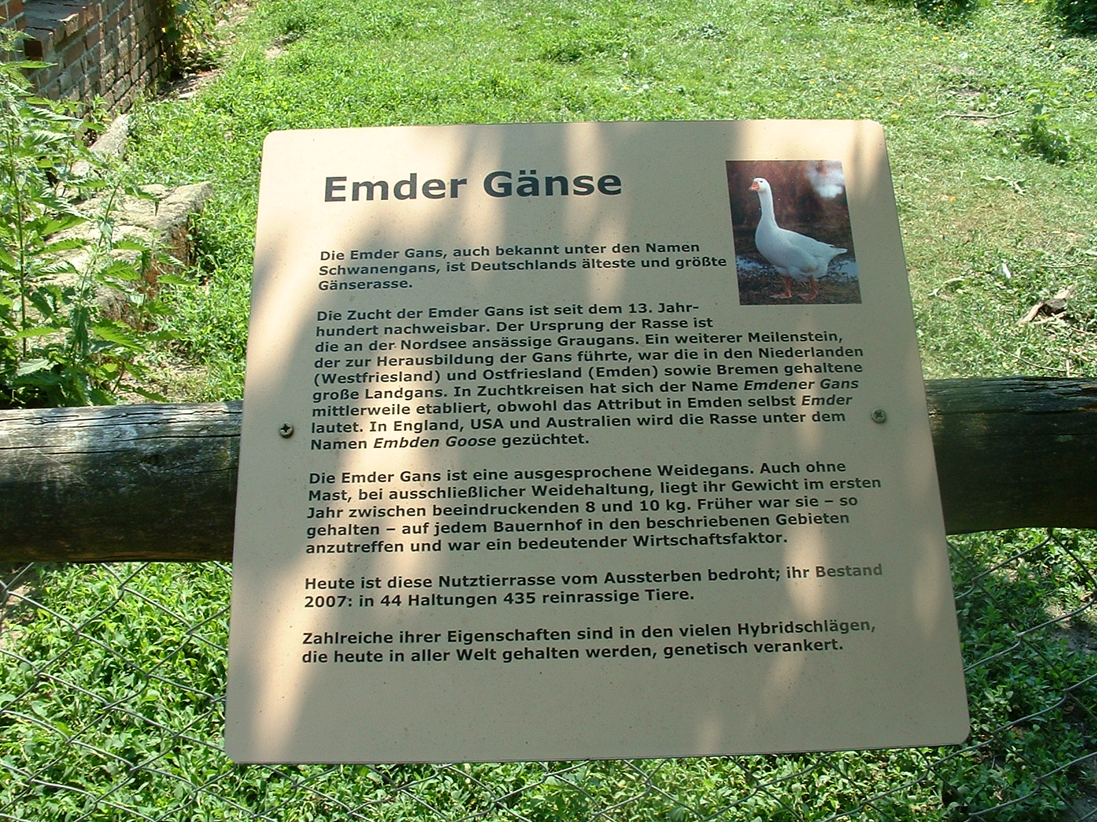 Museumsdorf Cloppenburg - 5.6.2011 Hof Awick Emder Gänse Infotafel