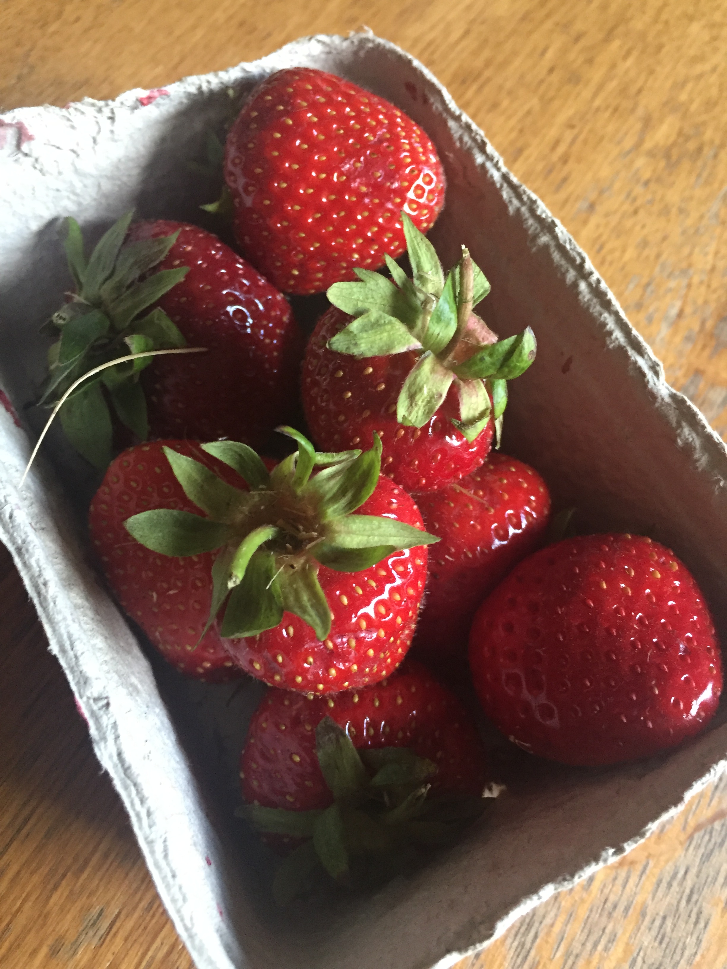 BIO Erdbeeren mit Geschmack - 250g für 3,99€
