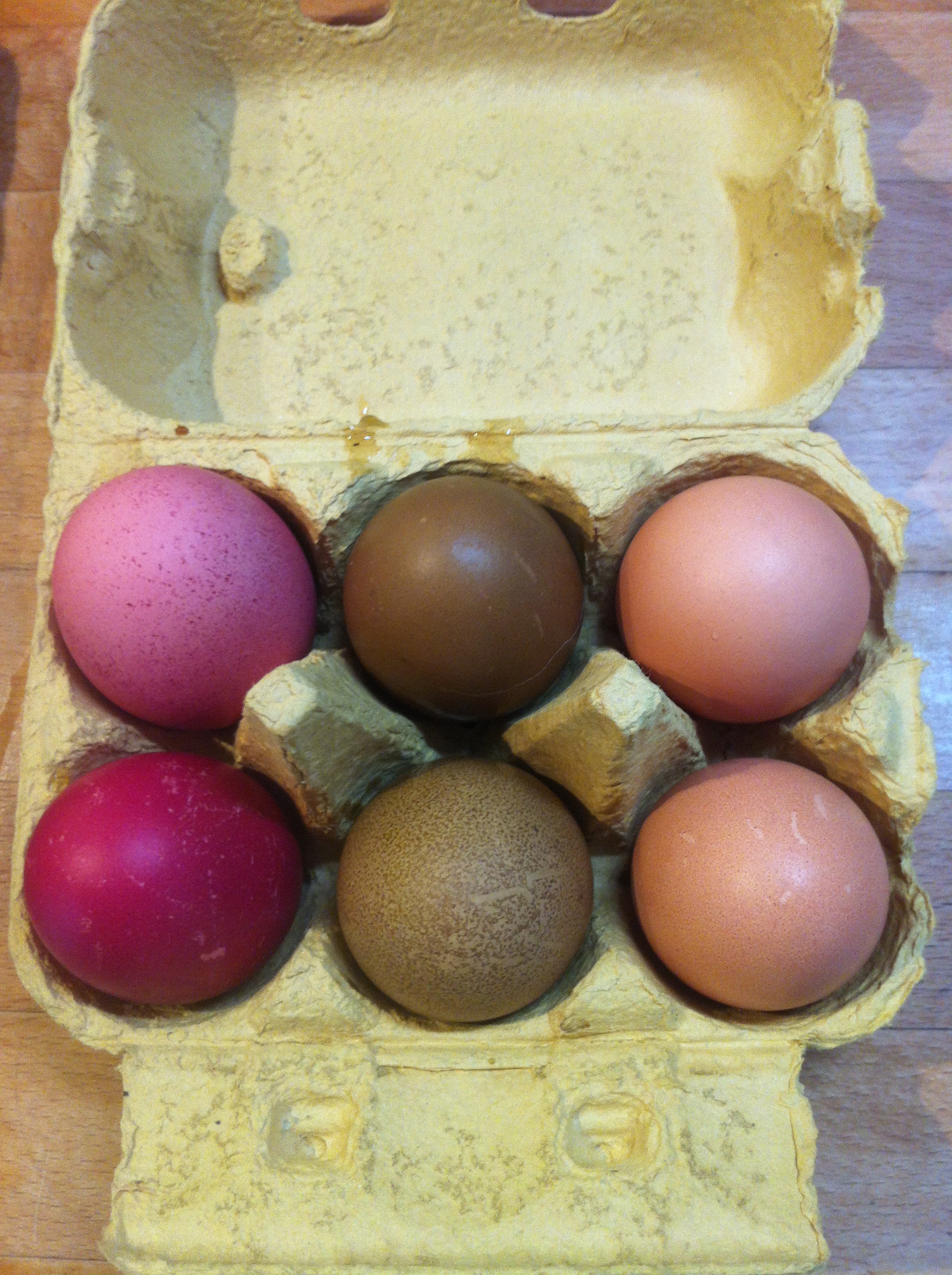 Braune Eier gefärbt mit nawaro Natur Eierfarben - zwei von fünf

Rechts das braune Original Ei ohne Färbung