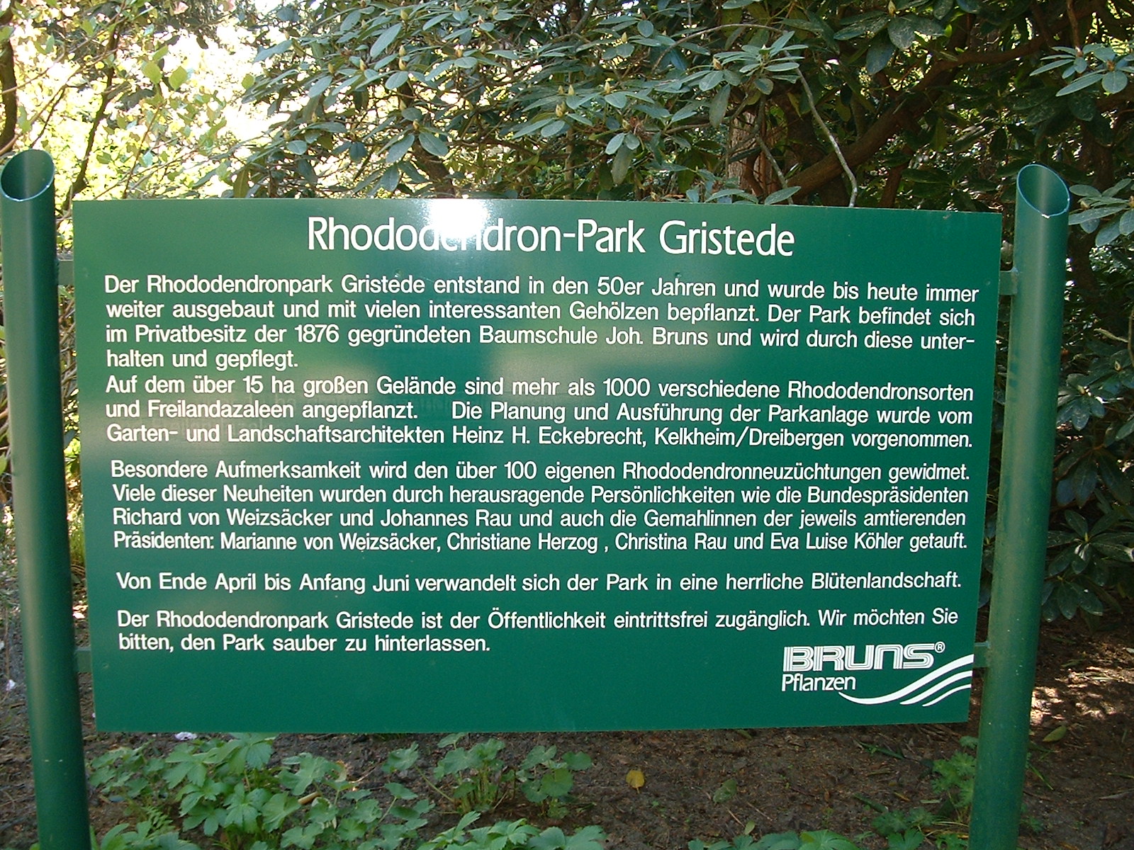 Bruns Pflanzen - Rhododendron-Park Gristede