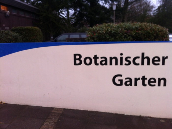 Bild 20 Botanischer Garten der Carl von Ossietzky Universität Oldenburg in Oldenburg