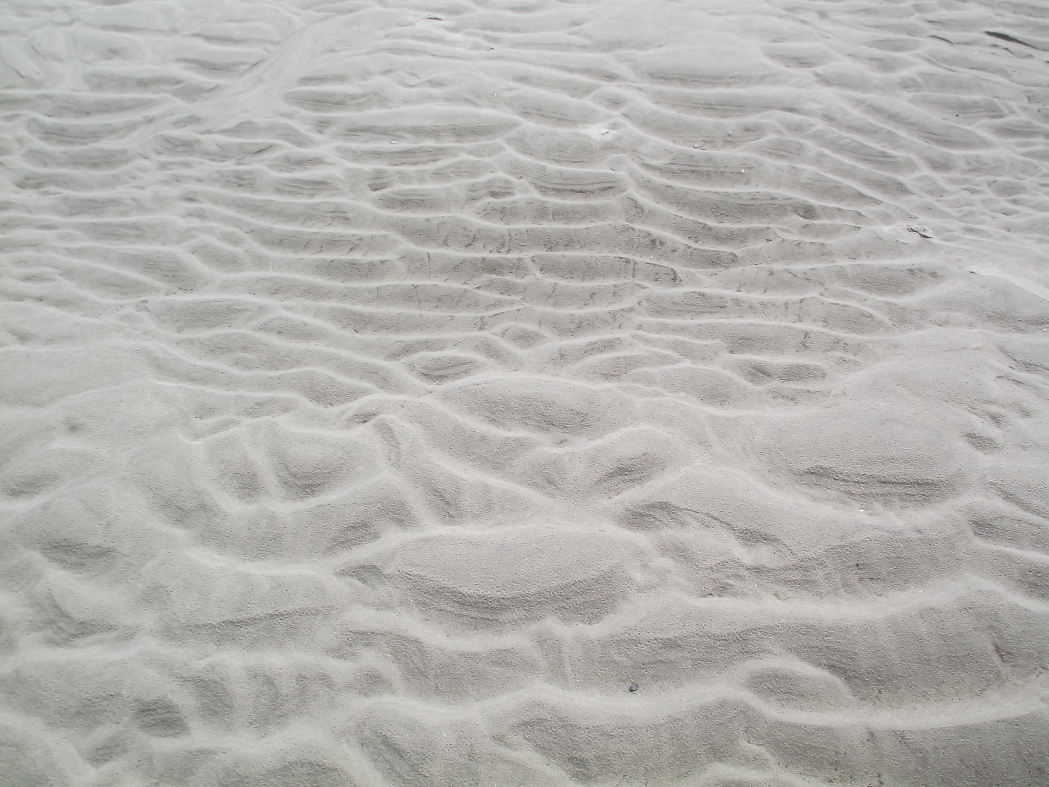 Wangerooge an der Nordsee - vom Wasser geformter Sandstrand