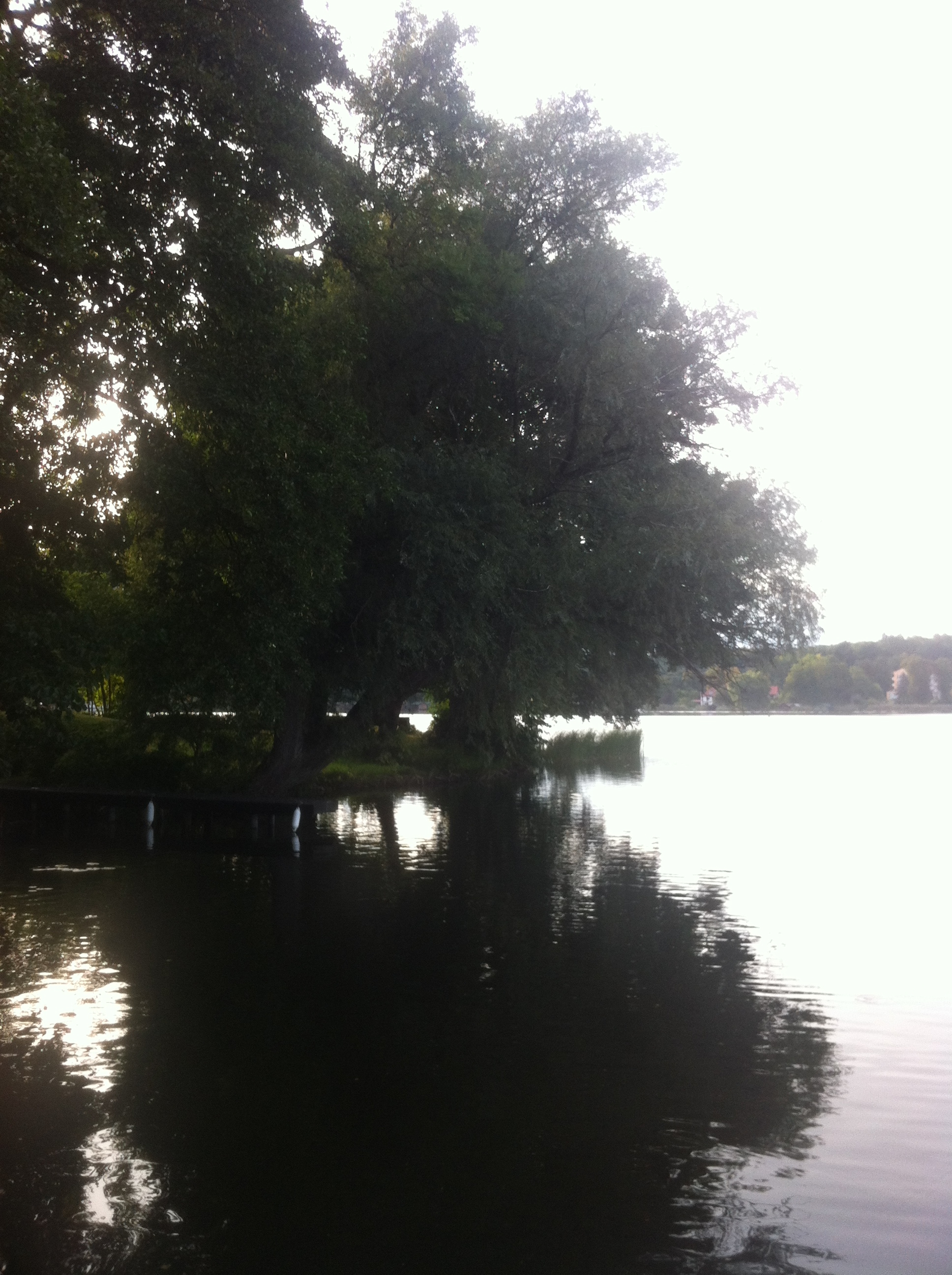 Feldberger Seenlandschaft in Mecklenburg