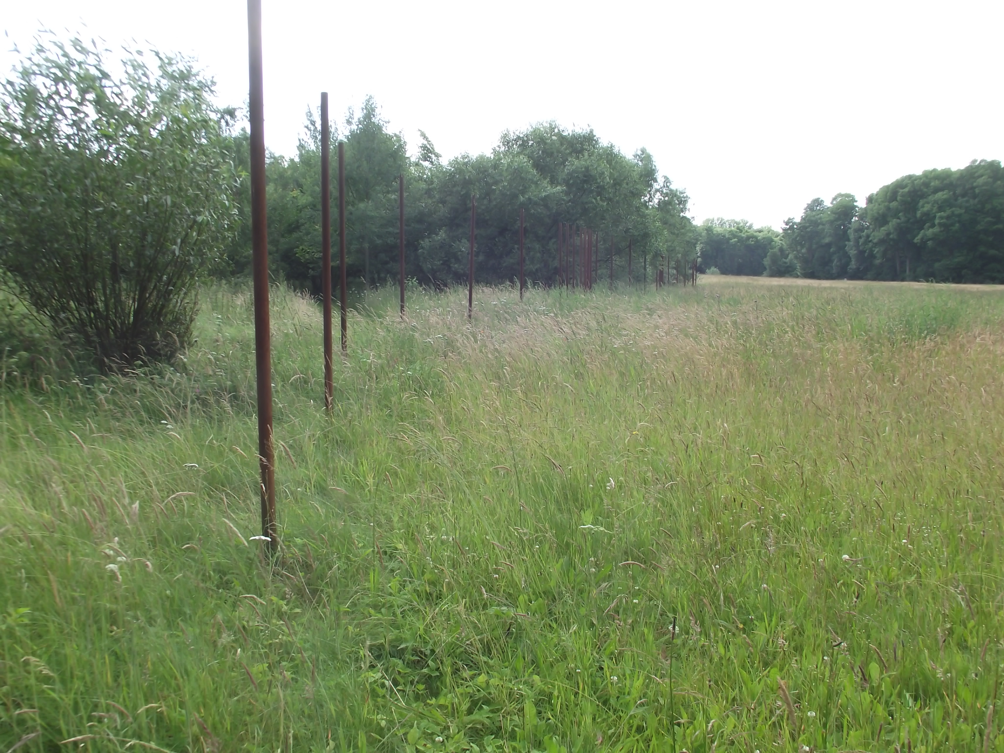 Die Stelen am Rande des Schlachtfeld