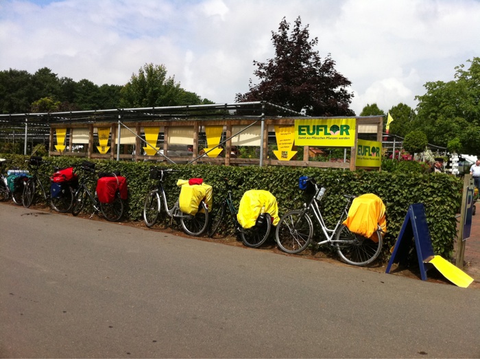 Wolters Baumschule in Wachendorf - Radfahrer bei der Rosenschau