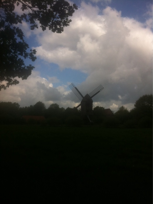 Trotz teilweiser Wolken blieb es trocken auf der Gartenpartie