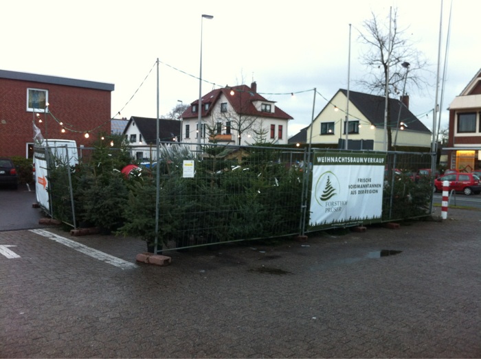 Weihnachtsbaum Verkauf bei INKOOP
