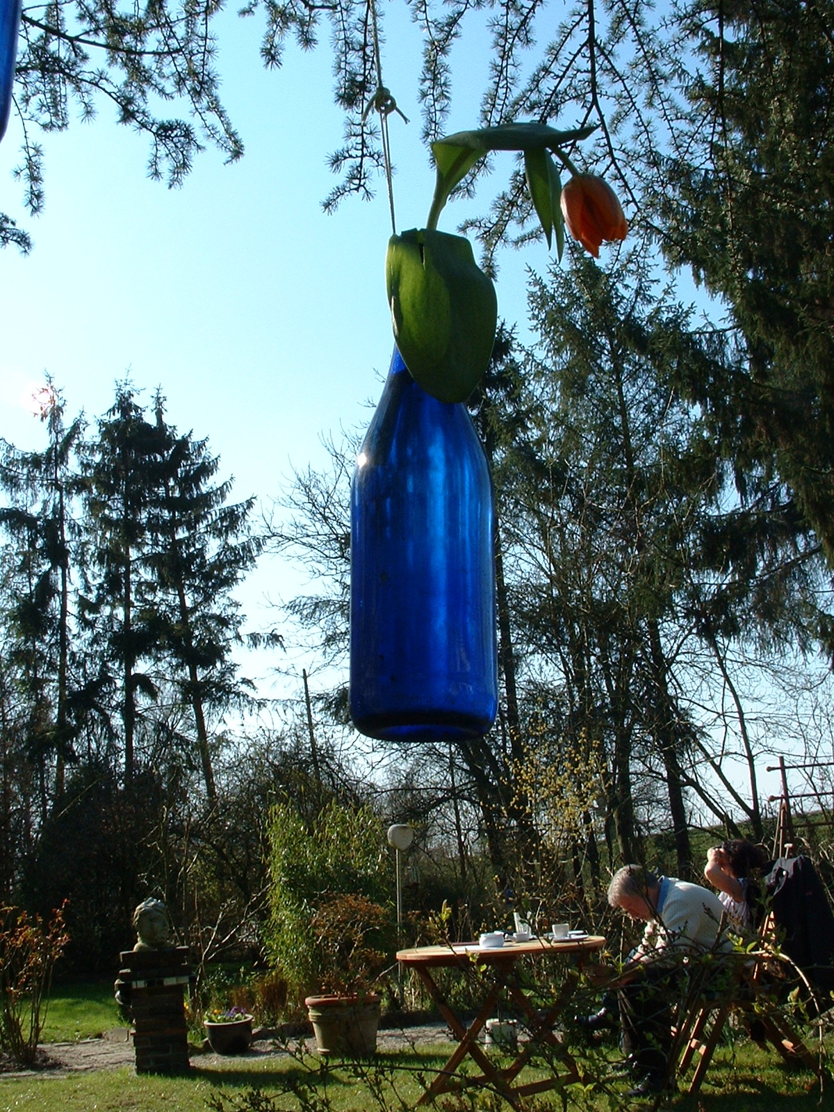 blaue Flasche am Baum