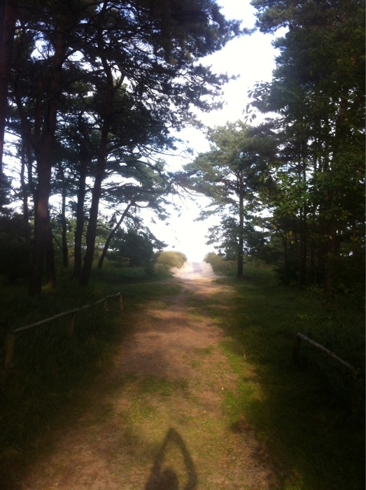 Bild 5 Naturpark Insel Usedom in Usedom