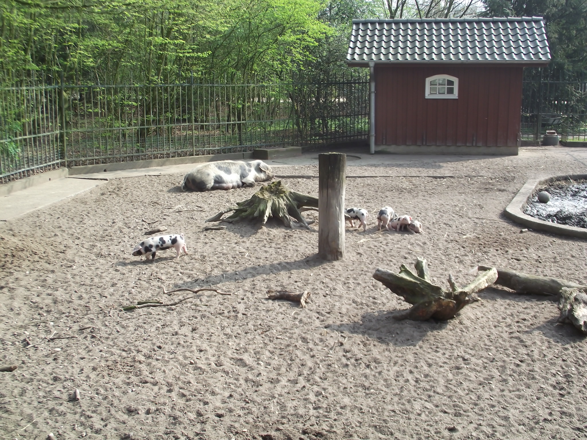 Tiergehege vom Bremer Bürgerpark
