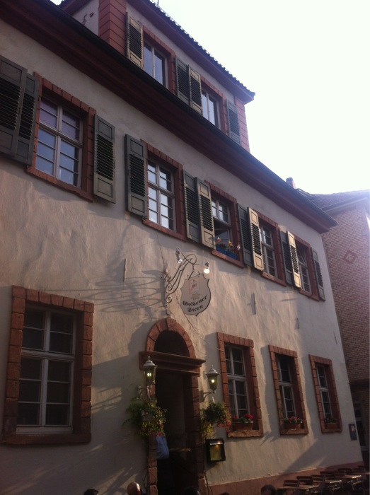 Bild 1 Goldener Stern in Heidelberg