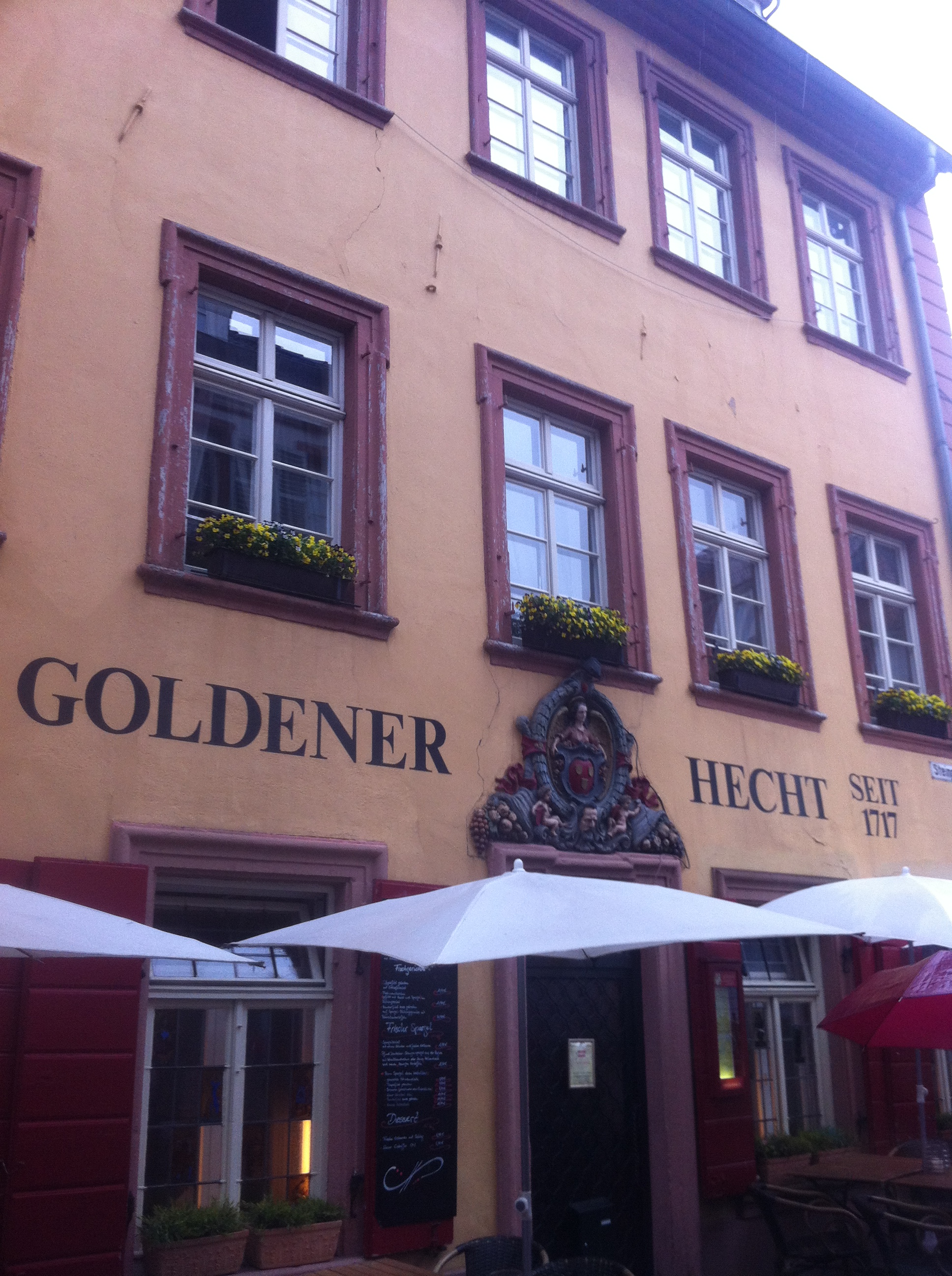 Bild 4 Goldener Hecht in Heidelberg
