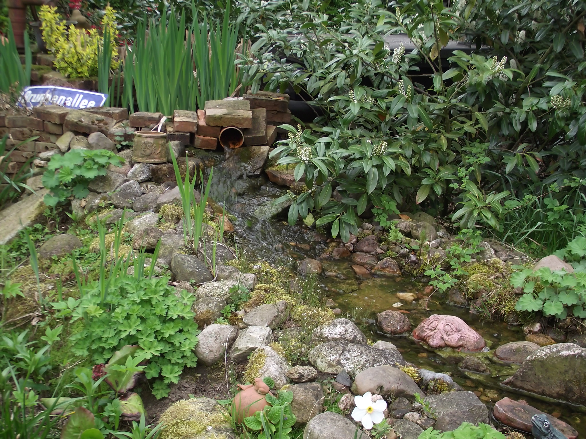 Dötlinger Gartenkultour 2012 - Stein- und Wassergarten Familie Krüger