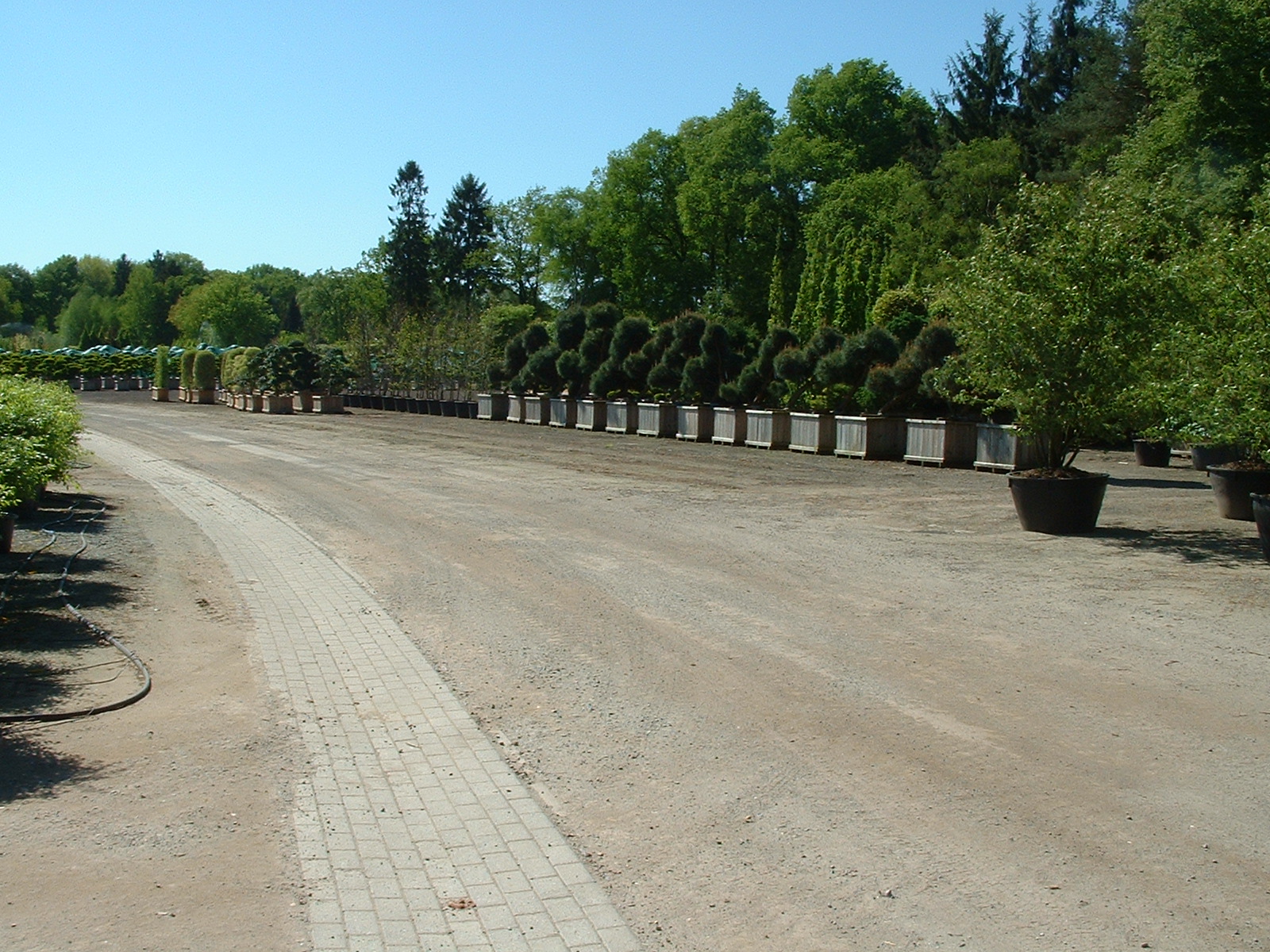 BRUNS Rhododendron Park in Gristede - Betriebsgelände