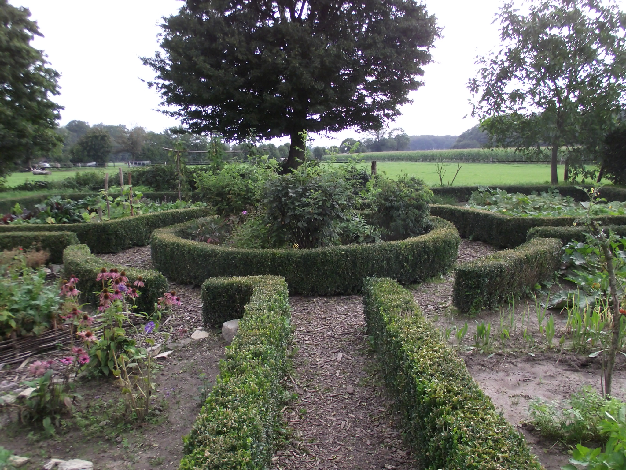 Schön angelegter Bauerngarten mit Buchsbaum Einfassungen beim RUZ in Hollen