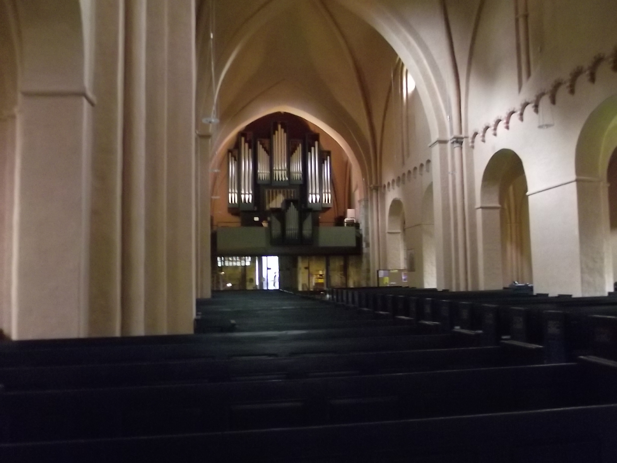 In der ev. luth. Alexanderkirche in Wildeshausen - Orgel
