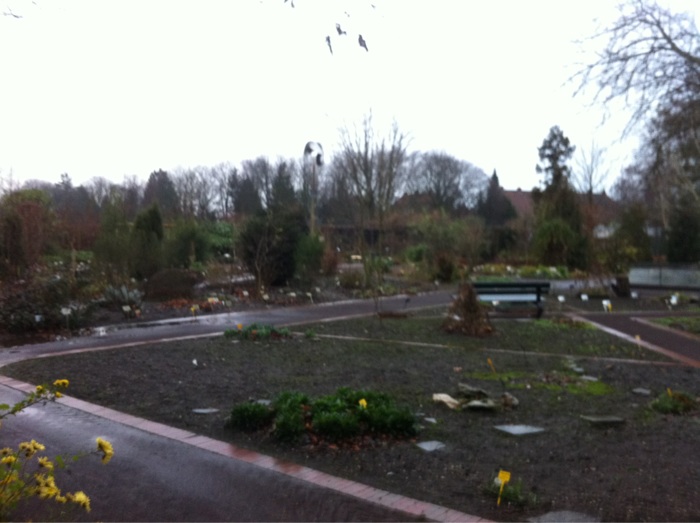 Bild 19 Botanischer Garten der Carl von Ossietzky Universität Oldenburg in Oldenburg