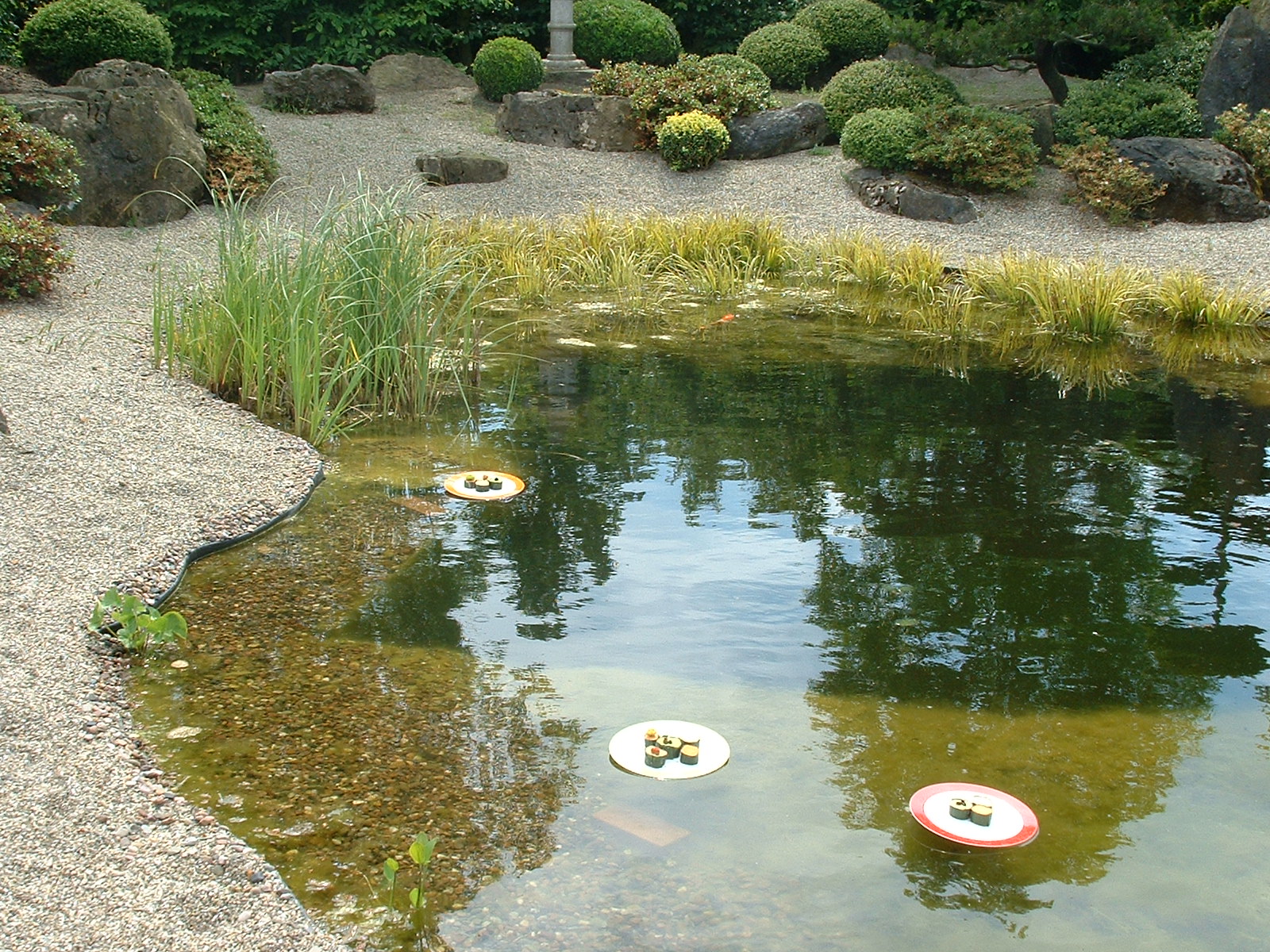 Park der Gärten in Bad Zwischenahn